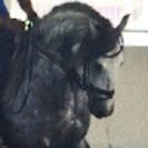 Meet your Posher, Audra